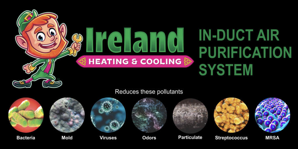 Whole house air purification system, in-duct air purifier